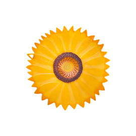 Sunflower Lid