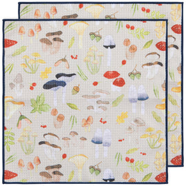Microfibre Dishcloth Set