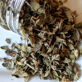 Mexican Oregano